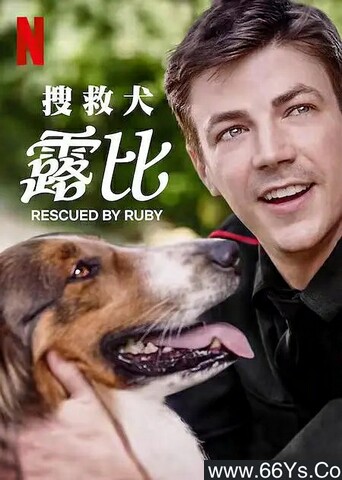 搜救犬露比