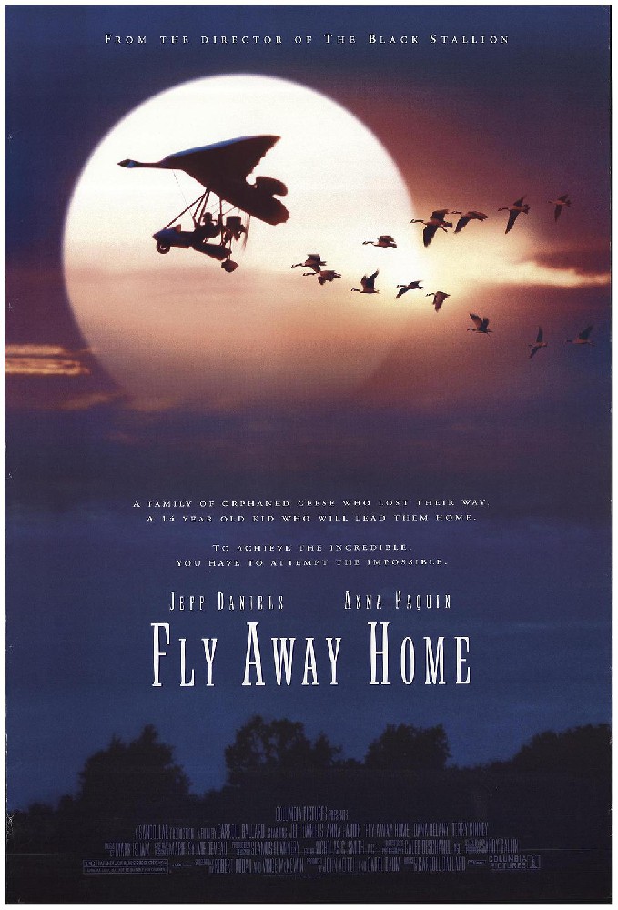 伴你高飞 蓝光原盘下载+高清MKV版/返家十万里 / 飞向故乡 / 回南 1996 Fly Away Home 22.4G