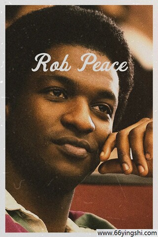 2024 被盗的和平/The Short and Tragic Life of Robert Peace