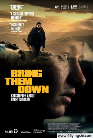 2024 打倒他们/Bring Them Down