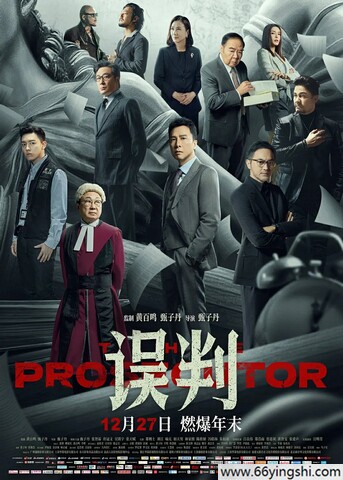 2024 误判/Misjudgement/The Prosecutor